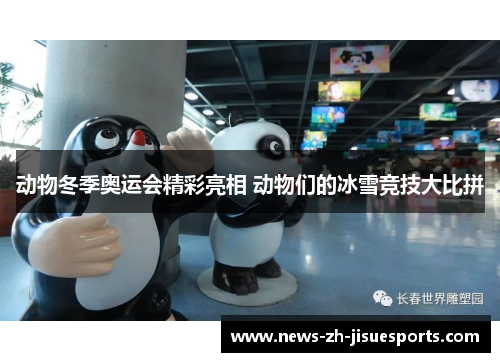 动物冬季奥运会精彩亮相 动物们的冰雪竞技大比拼